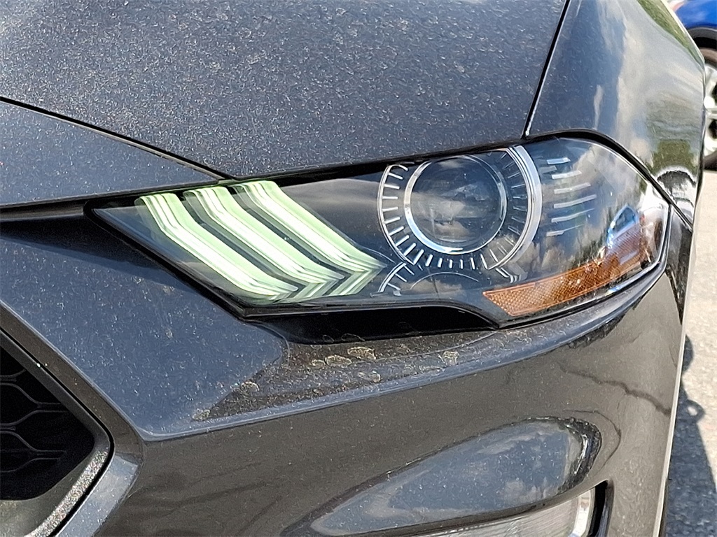 2018 Ford Mustang EcoBoost - Photo 10