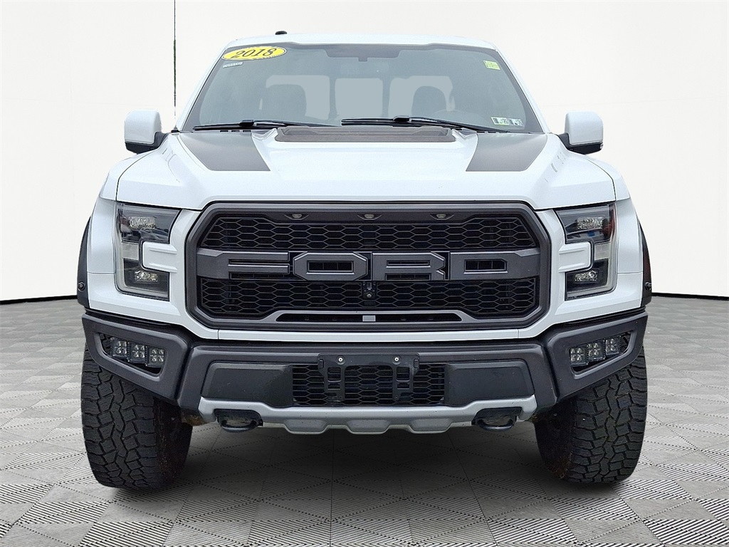 2018 Ford F-150 Raptor - Photo 2
