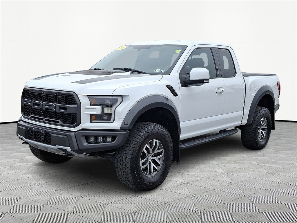 2018 Ford F-150 Raptor - Photo 3