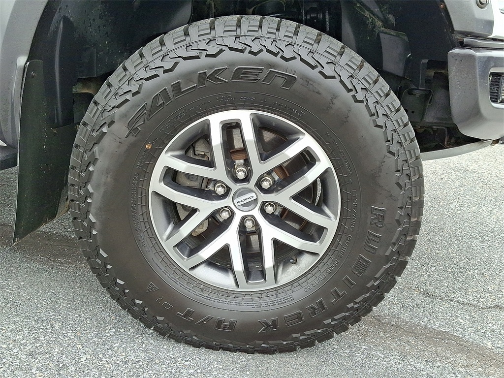 2018 Ford F-150 Raptor - Photo 8