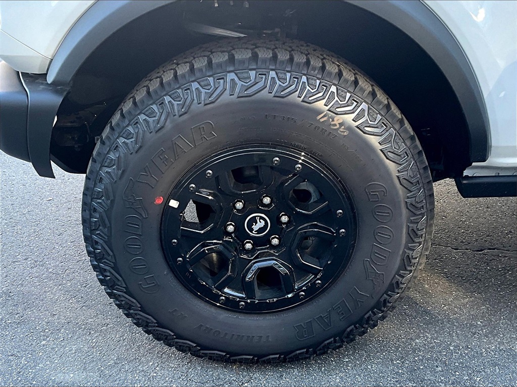 2025 Ford Bronco Badlands - Photo 12