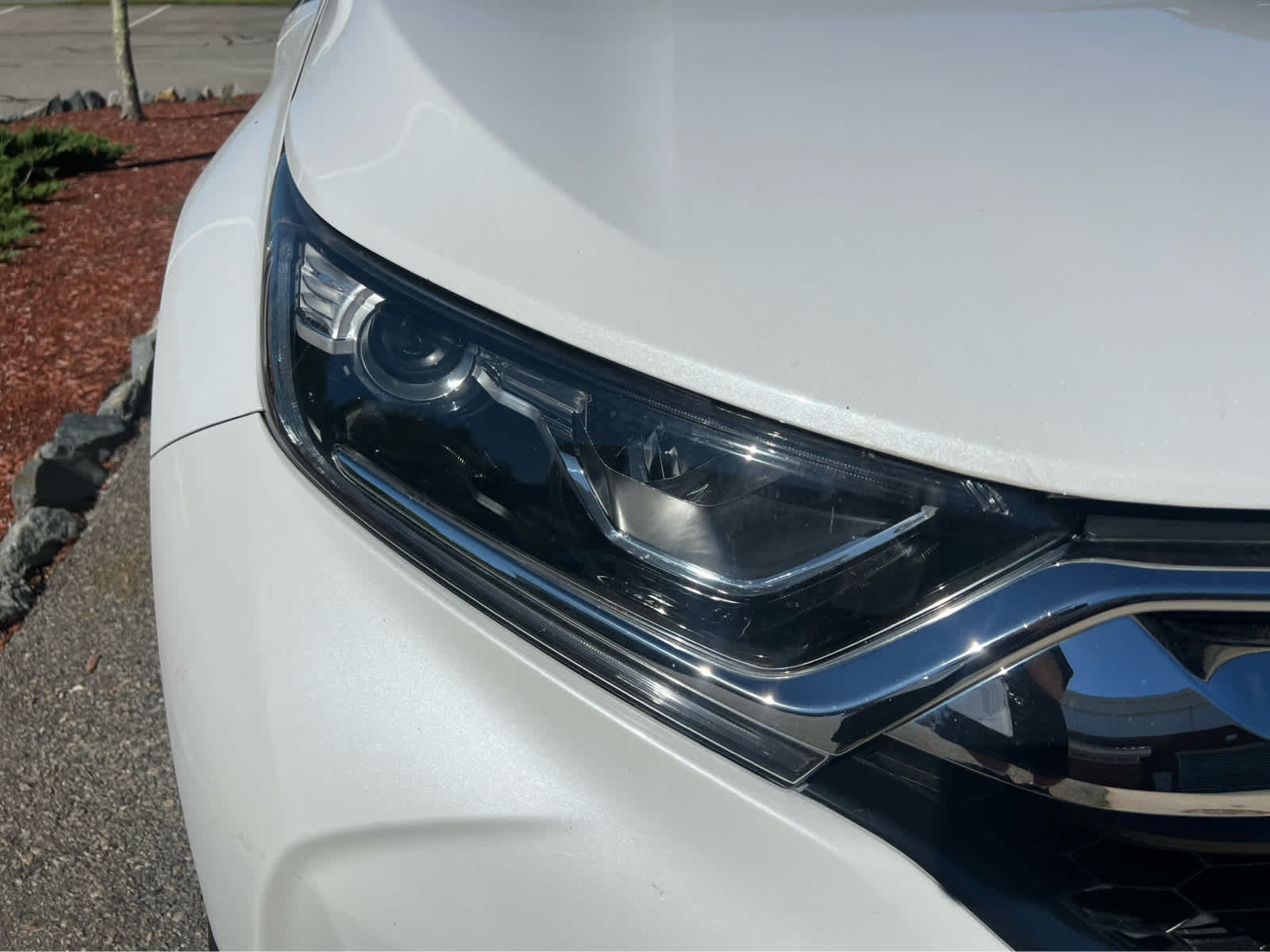 2019 Honda CR-V EX-L - Photo 2
