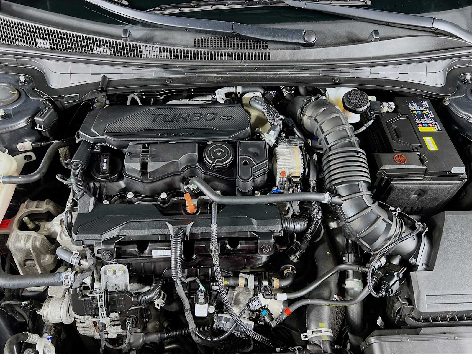2023 Hyundai Elantra N Line - Photo 30
