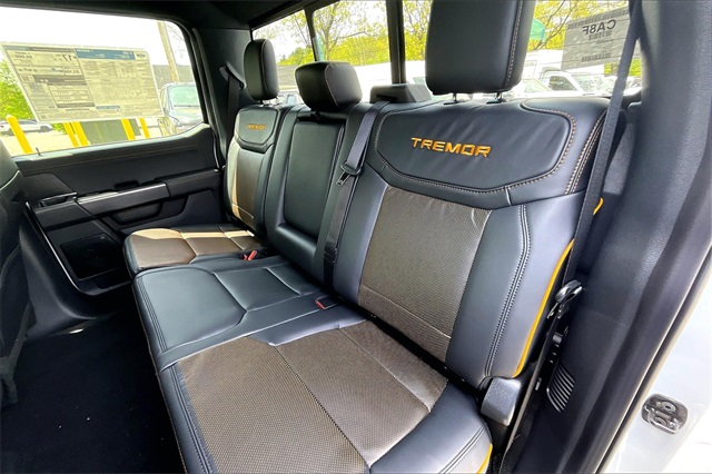 2025 Ford F-150 Tremor - Photo 11
