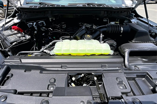 2025 Ford F-150 Tremor - Photo 12