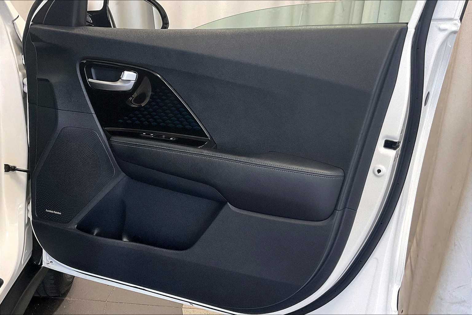 2022 Kia Niro EV EX Premium - Photo 12
