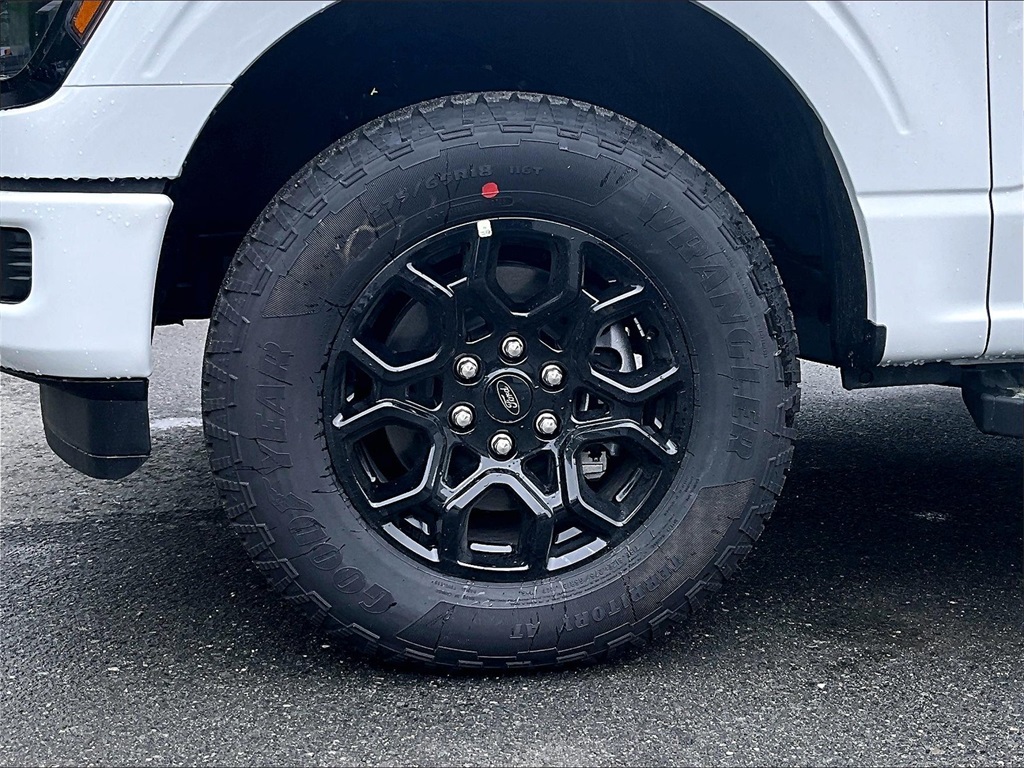 2025 Ford F-150 XLT - Photo 13