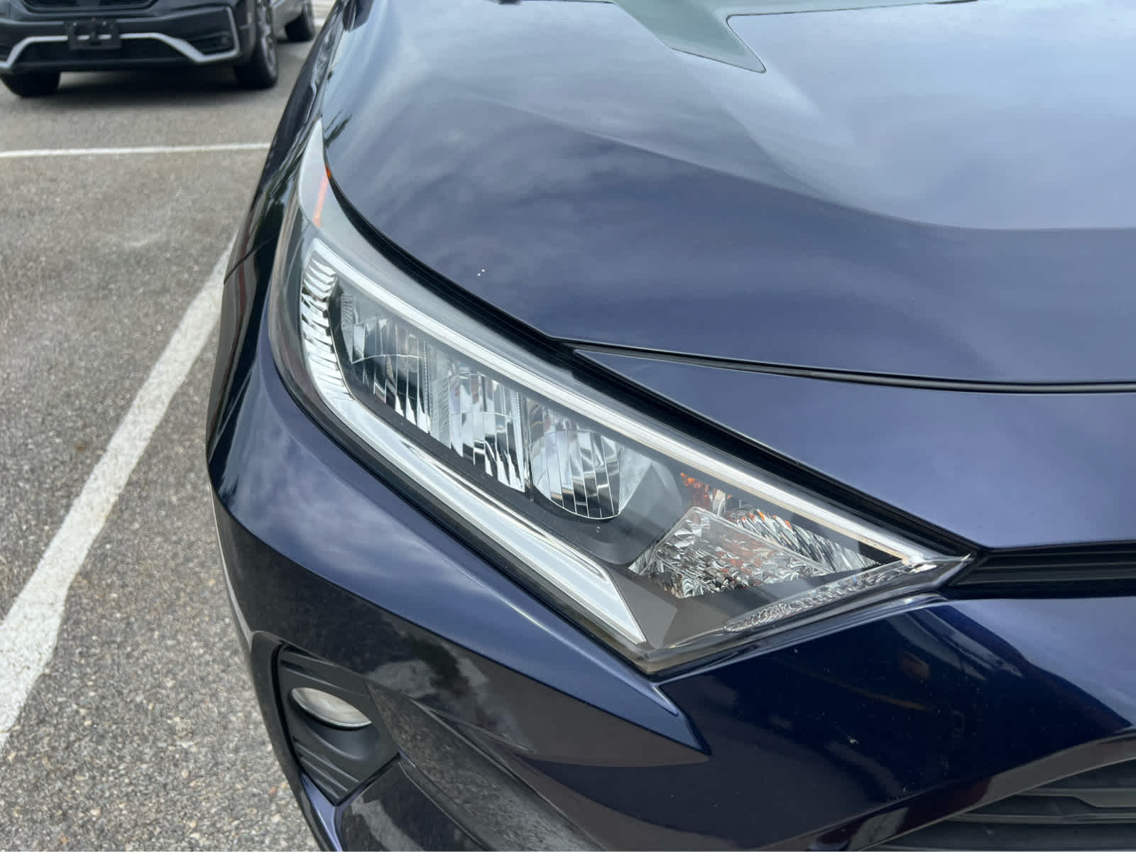 2019 Toyota RAV4 XLE - Photo 2
