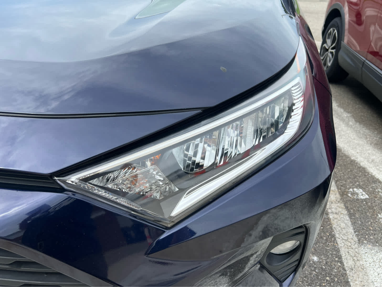 2019 Toyota RAV4 XLE - Photo 5