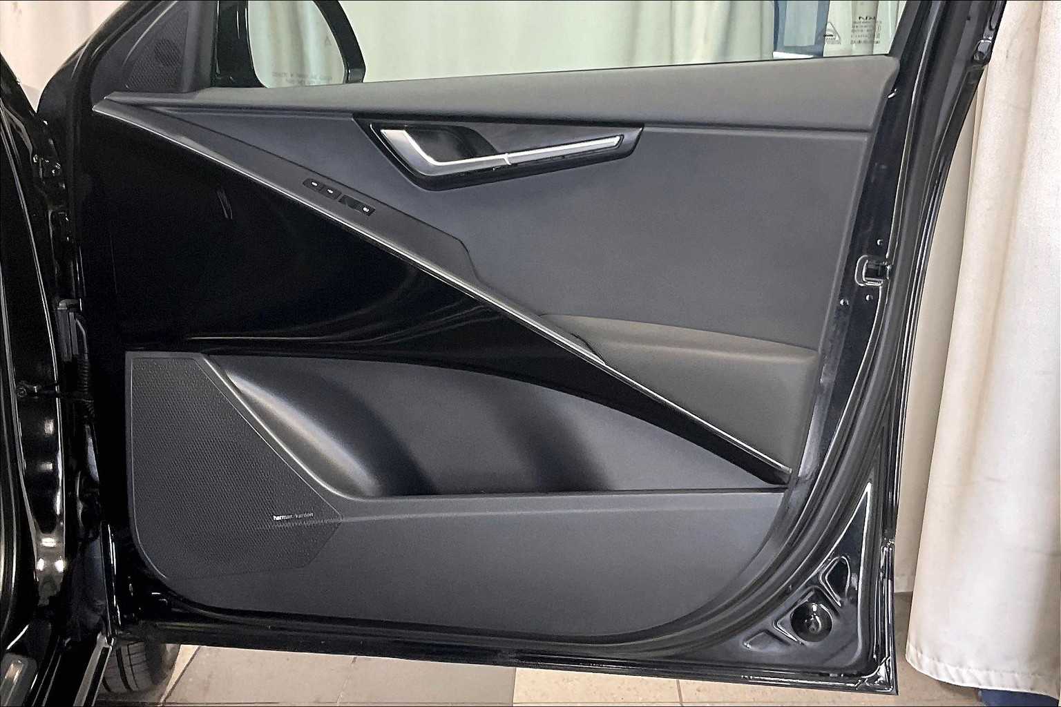 2025 Kia Niro EV Wave - Photo 12