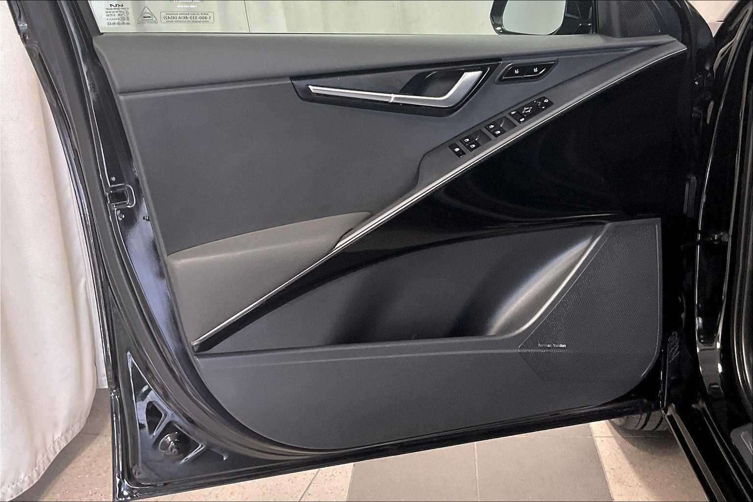 2025 Kia Niro EV Wave - Photo 9